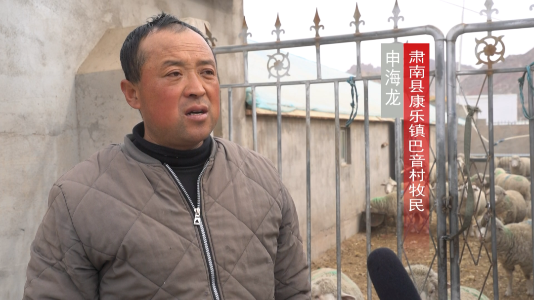 致富养牛创业视频_[每日农经]养牛致富办法多_养殖牛羊增收致富