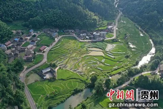 杂交生鱼最新养殖技术_致富养殖杂交鱼怎么样_养殖致富杂交鱼