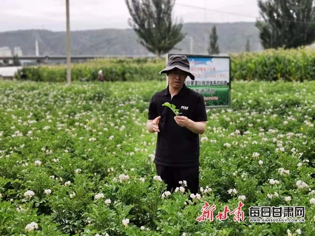 为了一粒好种薯——定西市推动马铃薯种薯高质量发展纪实