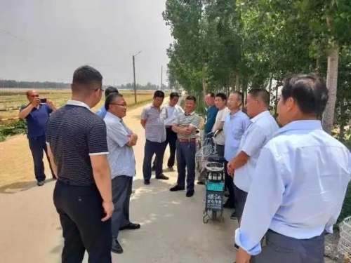 生态地龙养殖致富_养殖地龙骗局_养殖地龙赚钱吗