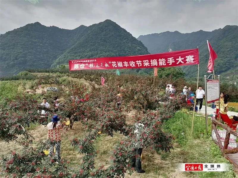 【村子的故事】探访花椒之乡   品味悠久文化