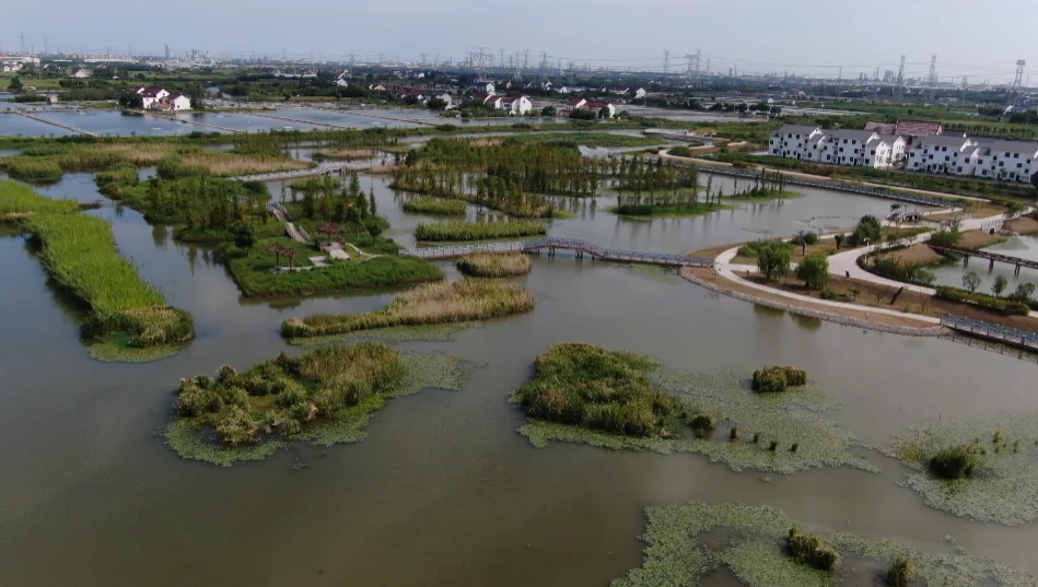 养殖地龙赚钱吗_生态地龙养殖致富_养殖地龙骗局