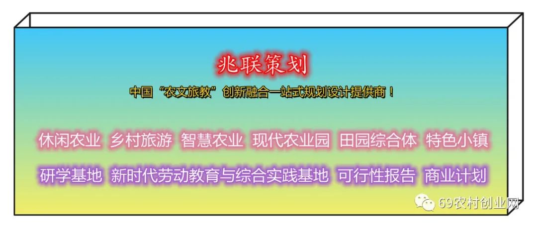 致富果树_致富小果园种植_致富经果树种植视频