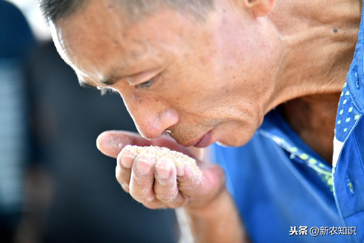 养殖泥鳅技术视频_泥鳅养殖泥鳅_泥鳅养殖繁殖技术