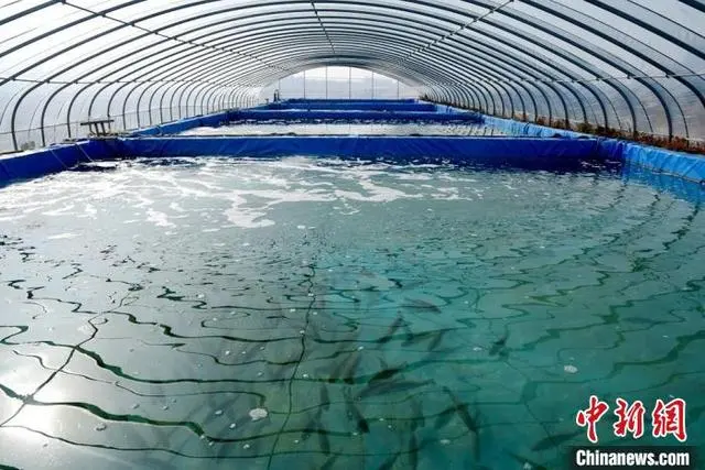 江苏水产养殖补贴政策_江苏水产养殖面积排名_江苏水产养殖致富