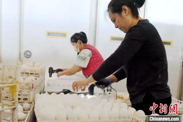 江苏水产养殖补贴政策_江苏水产养殖面积排名_江苏水产养殖致富