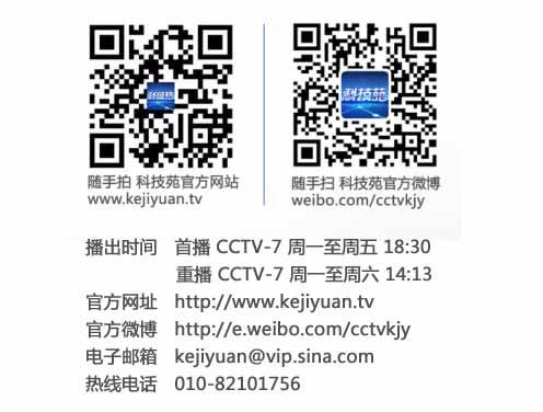 黄鳝养殖视屏_黄鳝养殖技术视频场地_生态黄鳝养殖技术视频