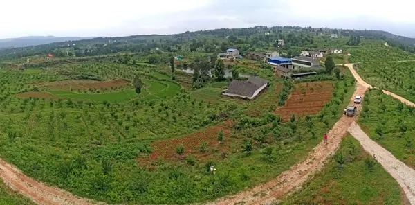 致富经卖水果创业视频_致富经快递水果_卖水果致富