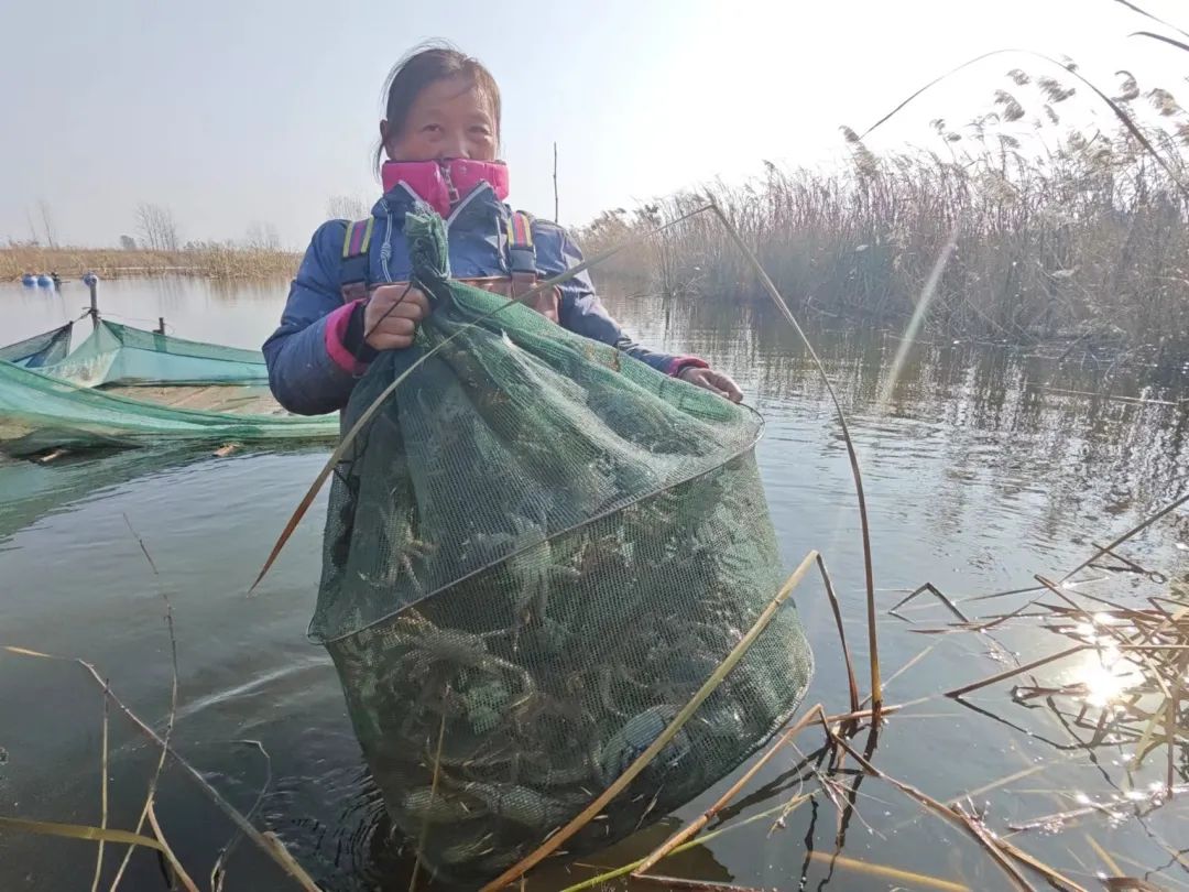 江苏水产养殖致富_江苏水产养殖面积排名_江苏水产养殖场