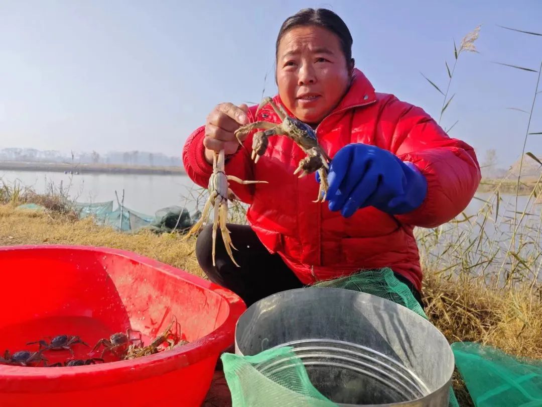 江苏水产养殖面积排名_江苏水产养殖场_江苏水产养殖致富