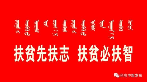 致富鸳鸯养殖故事视频_鸳鸯养殖致富故事_养殖鸳鸯每只利润是多少