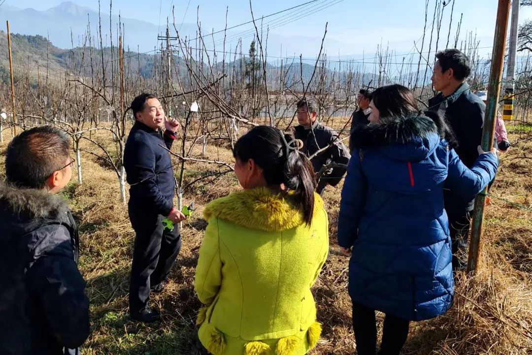 致富经鸸鹋养殖视频_致富养殖什么最赚钱_养殖蛴螬并致富