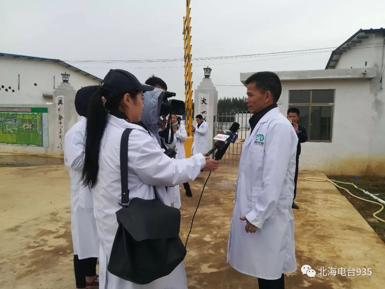 农村养殖致富养羊_致富养殖羊_养羊致富