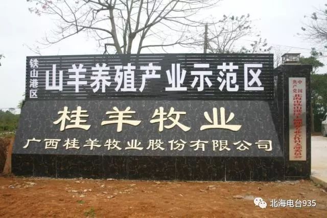 致富养殖羊_养羊致富_农村养殖致富养羊