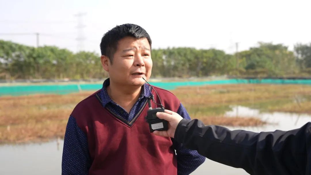 养殖大螃蟹技术视频_螃蟹视频养殖技术大全图片_螃蟹视频养殖技术大全图解