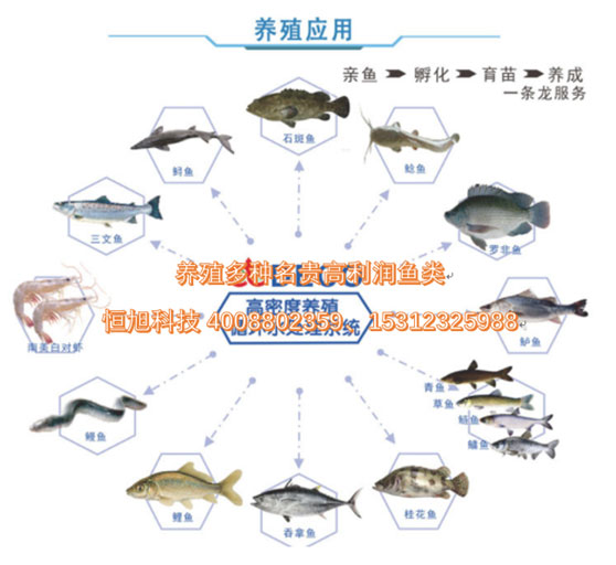 小龙虾大棚养殖_温室大棚龙虾养殖_龙虾能大棚养殖技术