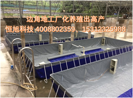 小龙虾大棚养殖_温室大棚龙虾养殖_龙虾能大棚养殖技术