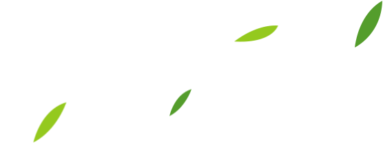冬白菜的种植技术视频_冬白菜的种植技术_冬季大白菜种植技术视频