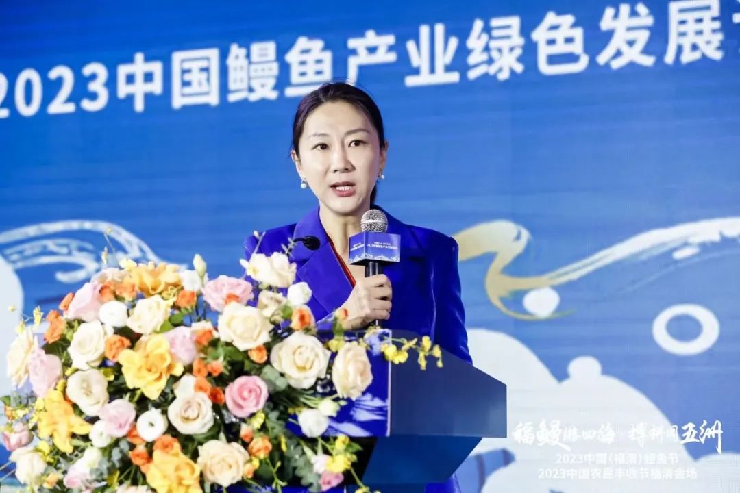 鳗鱼养殖技术与鳗鱼价格_鳗鱼养殖价格技术规范_鳗鱼养殖效益