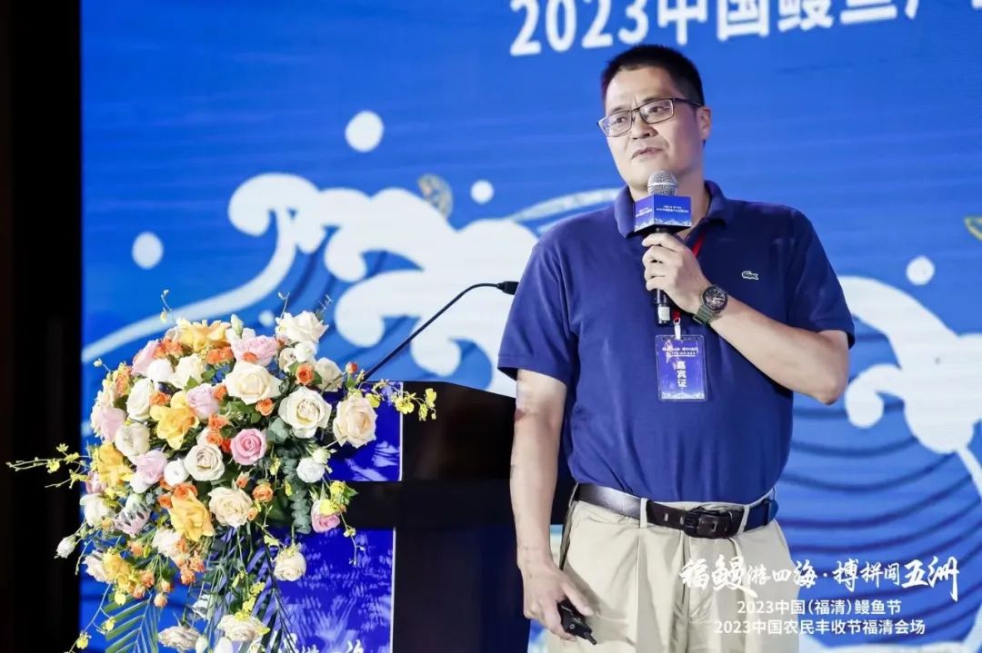 鳗鱼养殖价格技术规范_鳗鱼养殖技术与鳗鱼价格_鳗鱼养殖效益