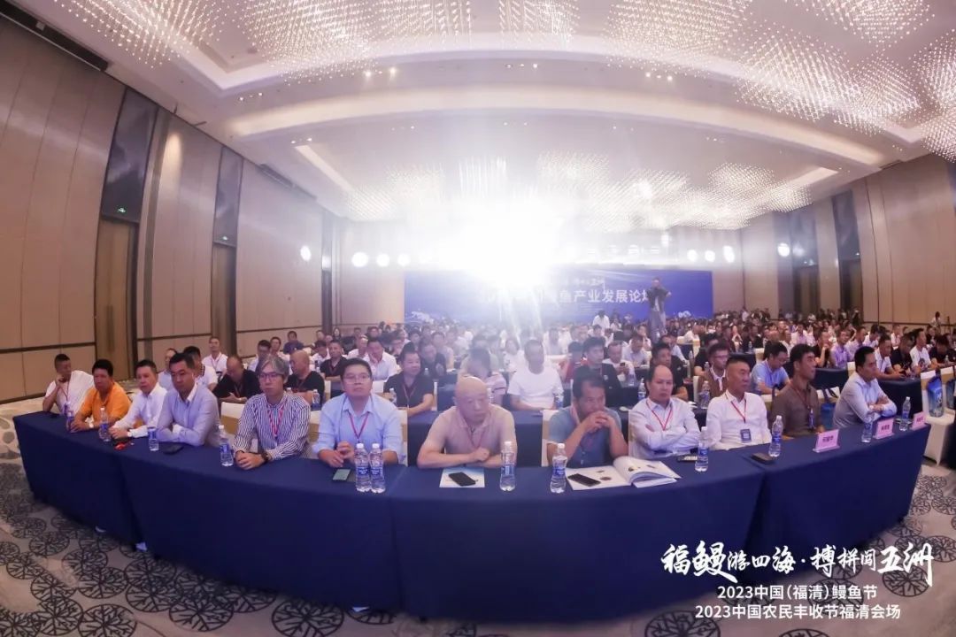 鳗鱼养殖效益_鳗鱼养殖价格技术规范_鳗鱼养殖技术与鳗鱼价格