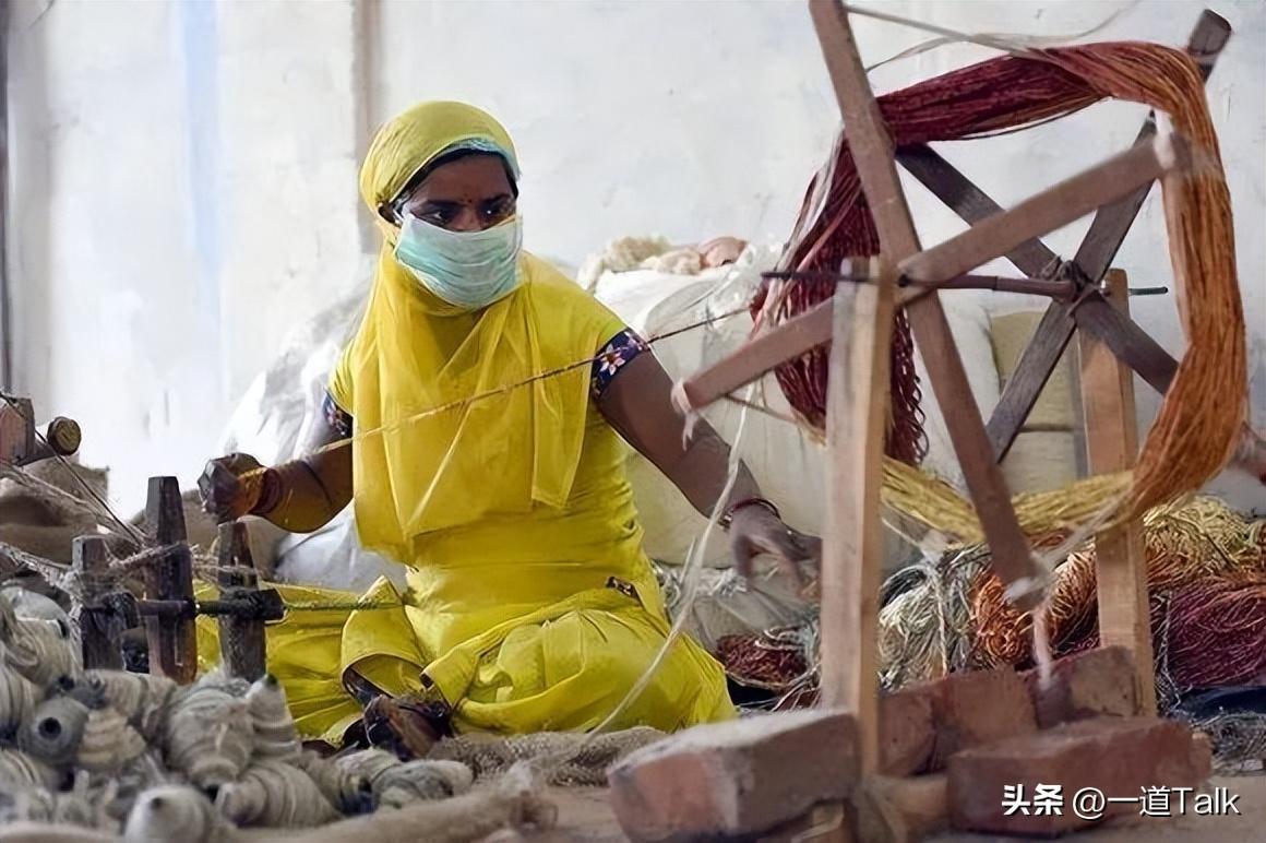 种植黄麻的自然条件_黄麻种植每亩利润多少_种植黄麻致富案例