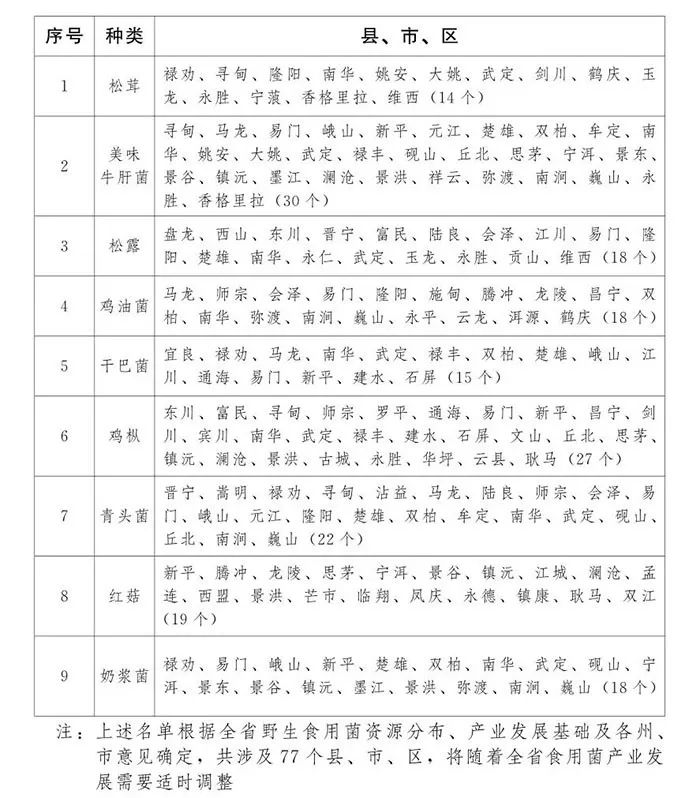 种植锁阳致富_锁阳的种植条件_种植锁阳的经济效益