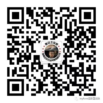 海南龟养殖基地致富经_海南乌龟养殖_海南龟类养殖场