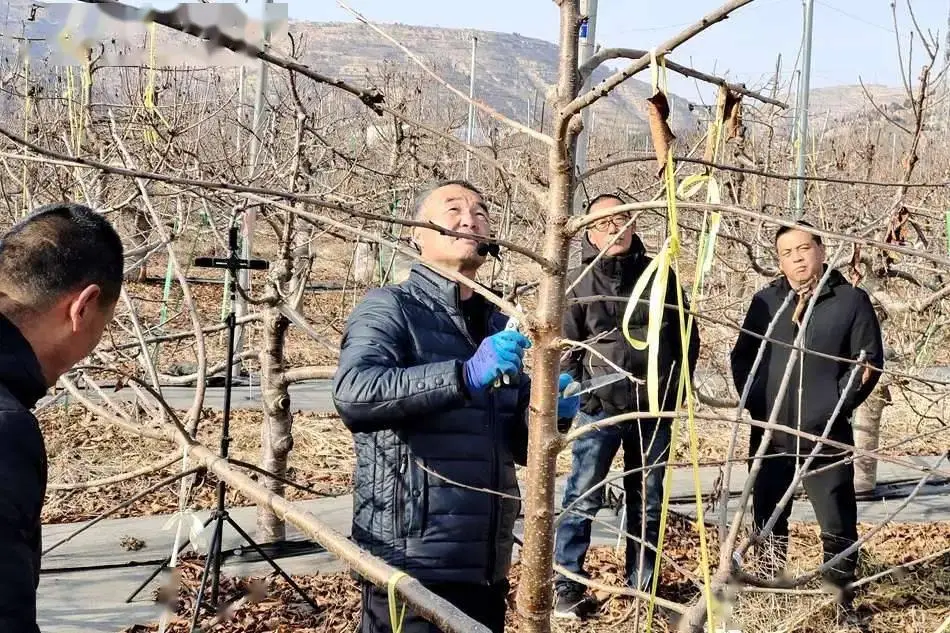 致富经视频种植技术_致富种植视频全集_种植致富案例