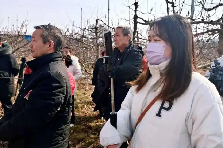致富种植视频全集_致富经视频种植技术_种植致富案例