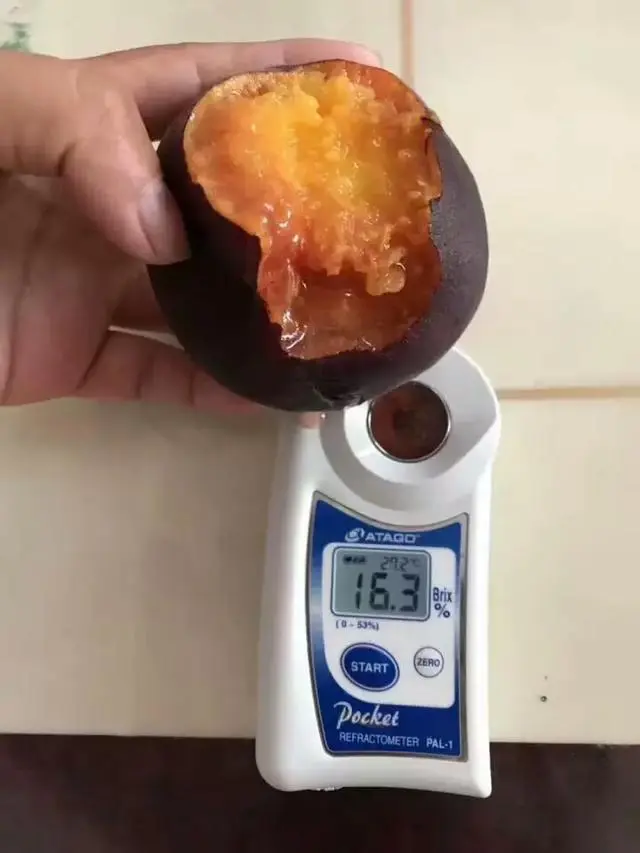 北方致富项目_致富经北方种植_北方种植项目