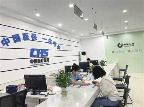 政保是啥意思上学(小升初政保是啥意思)