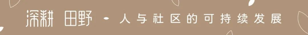 种橙似赌博，卖橙心更“卷”：从家乡照见他乡，却照不见小农的出路