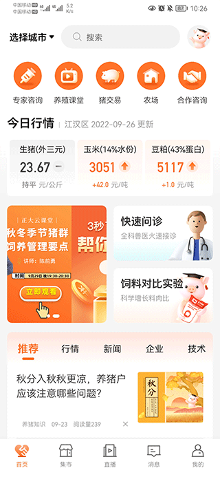 现在养猪视频_猪养殖技术视频_养猪现场视频