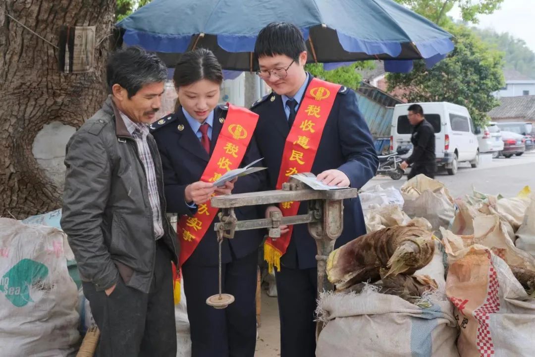 种植桑葚赚钱吗_致富经种植桑葚_致富种植桑葚图片