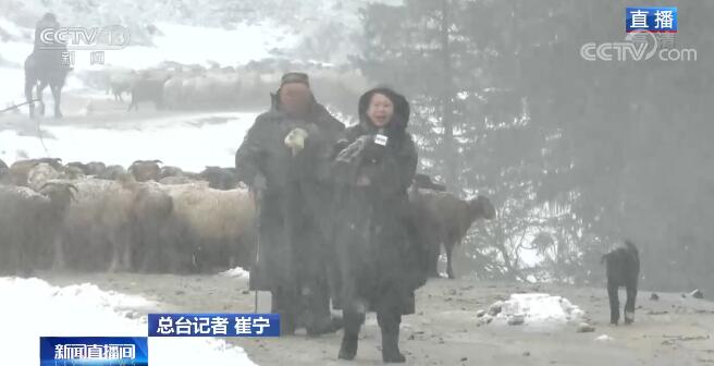 致富经羊肉汤里的致富经_致富经羊养殖技术_致富经羊羔肉