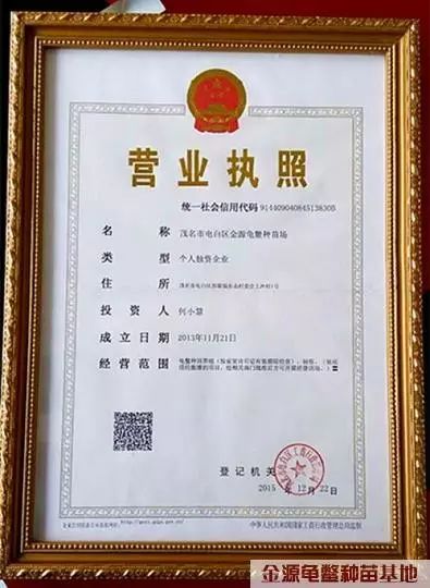 南石金钱龟种龟_南种石金钱龟养殖技术_南种石金钱龟多少钱一斤