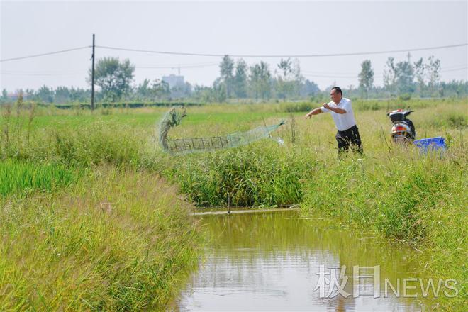 致富养殖绿色地龙图片_绿色地龙养殖致富_致富养殖绿色地龙是什么