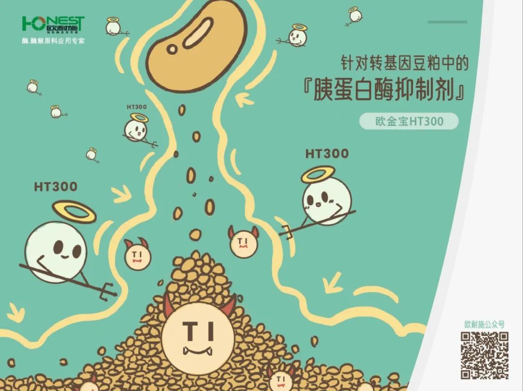 杜洛克猪种_视频养殖猪技术杜洛克教程_杜洛克猪养殖技术视频