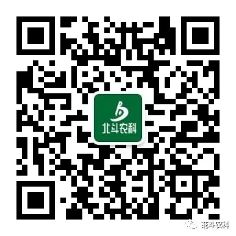 视频养殖猪技术杜洛克教程_杜洛克猪养殖技术视频_杜洛克猪种