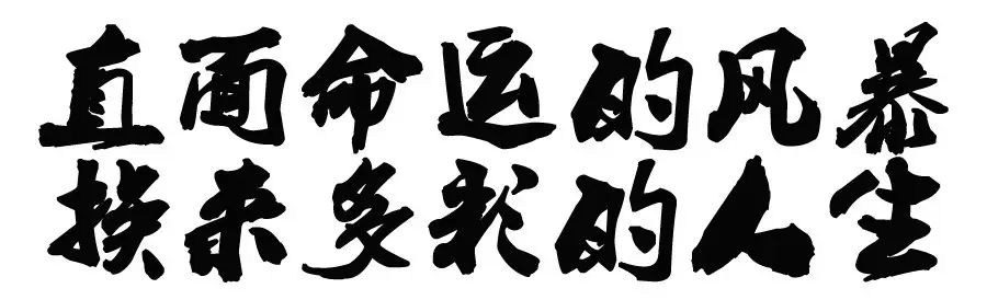 致富经2014年养鸡_致富经2018年全集视频养鸡_致富经养鸡2019