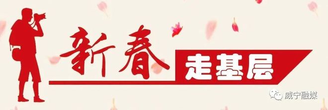 致富经魔芋种植_致富经魔芋_致富经魔芋种植技术