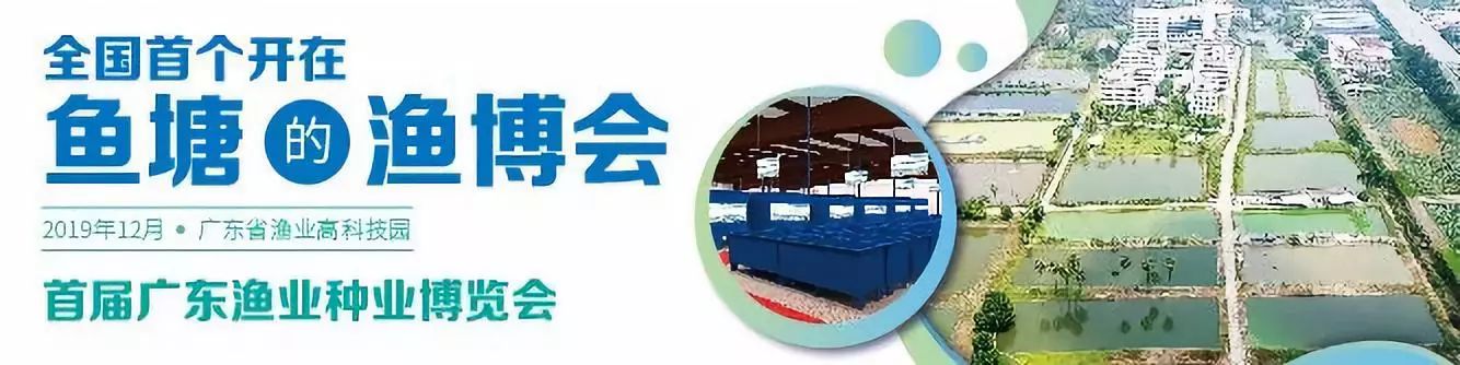 1500口网箱赚90万！用嘉康饲料养这条鱼成功率达90%，这500人被打动了！