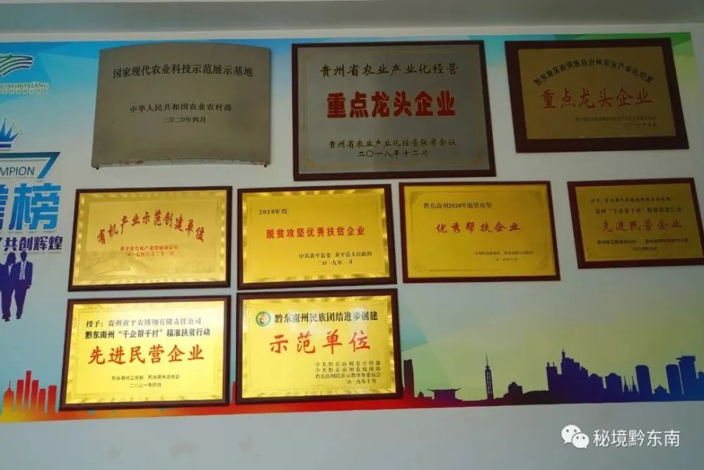 养牛场牛粪价格_养殖牛粪致富项目_牛粪养猪技术视频