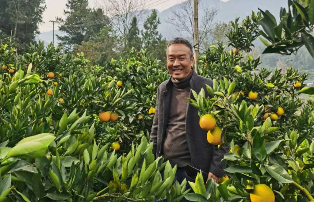 湖北省宜昌市秭归县：种好果农“致富果”