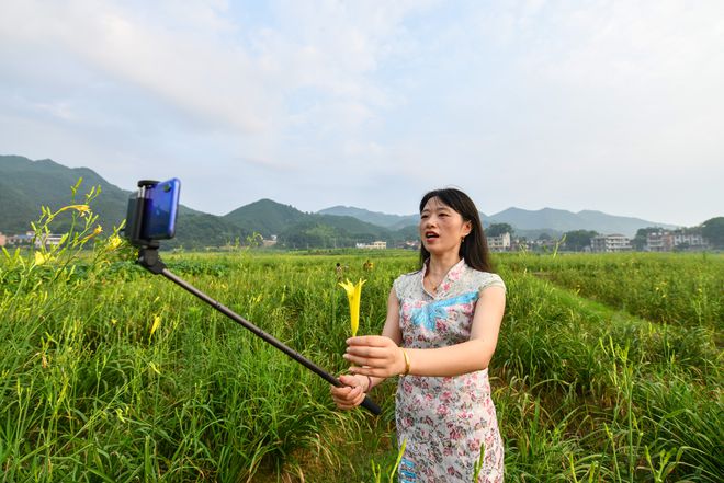常宁种植致富项目_致富种植常宁项目有哪些_农村致富项目种植