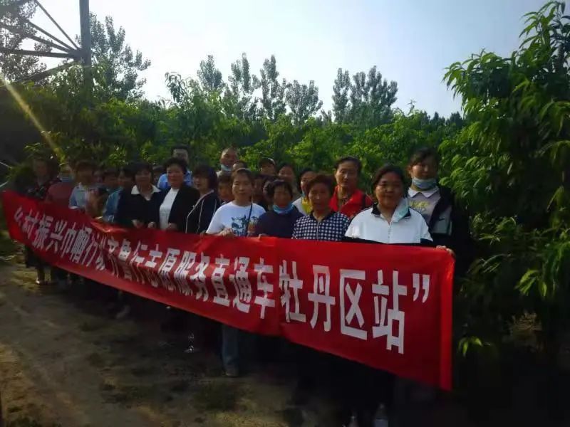 致富种植视频全集_致富虫种植_致富经昆虫养殖