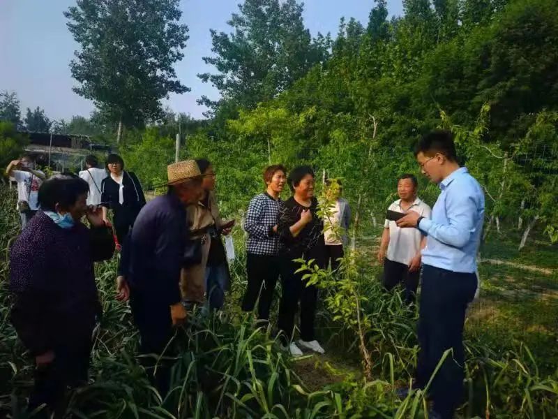 致富种植视频全集_致富虫种植_致富经昆虫养殖