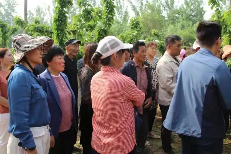 致富经昆虫养殖_致富虫种植_致富种植视频全集