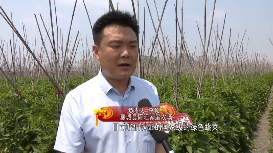 许昌种植致富果_许昌果树苗木基地_许昌种植结构